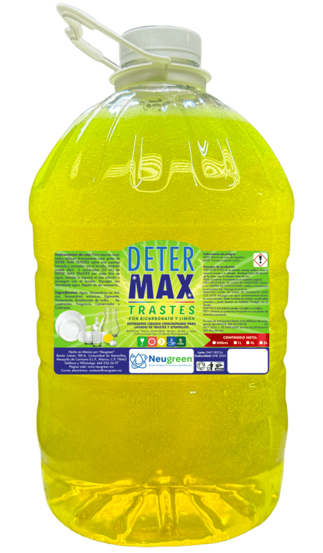 DETER MAX TRASTES 5L